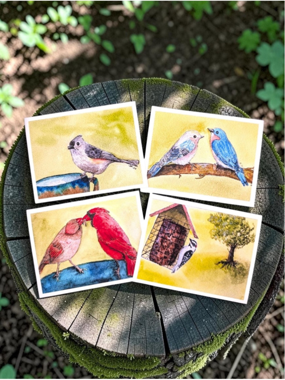 12 Notecards Watercolor Backyard Birds Series 4.25 x 5.5